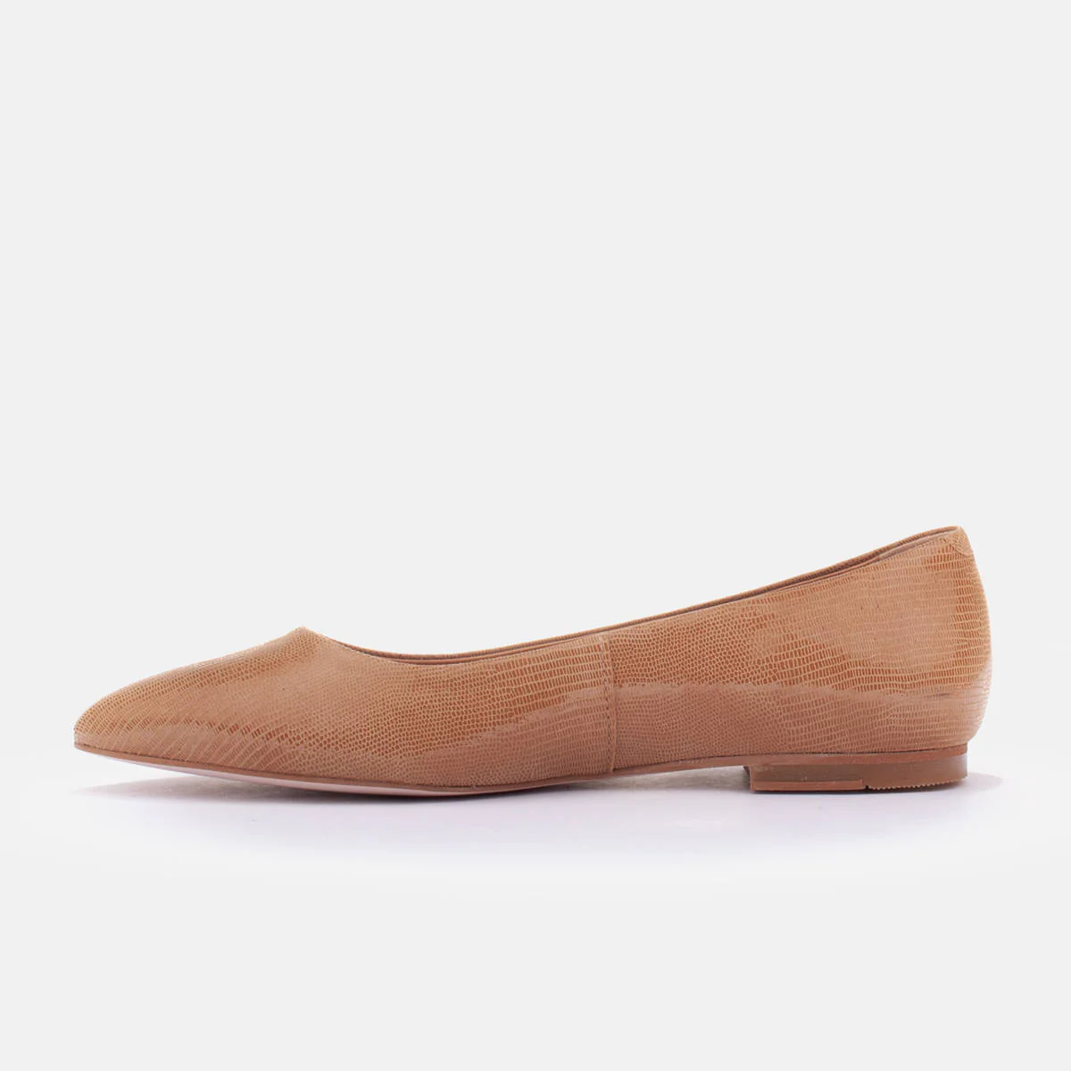 Baleriny Leger - Image 4